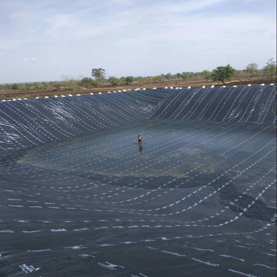 farming-pond-sheets-2.webp