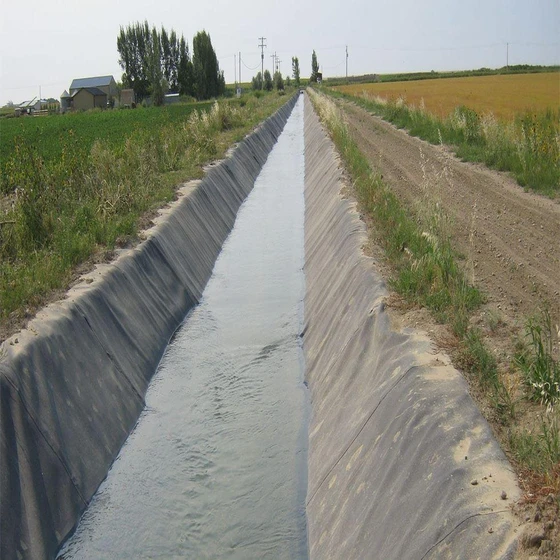geomembrane-canal-liner-2.webp