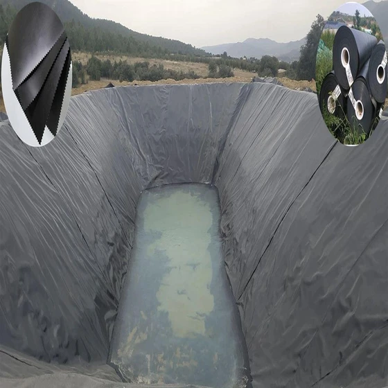 hdpe-geomembrane-canal-2.webp