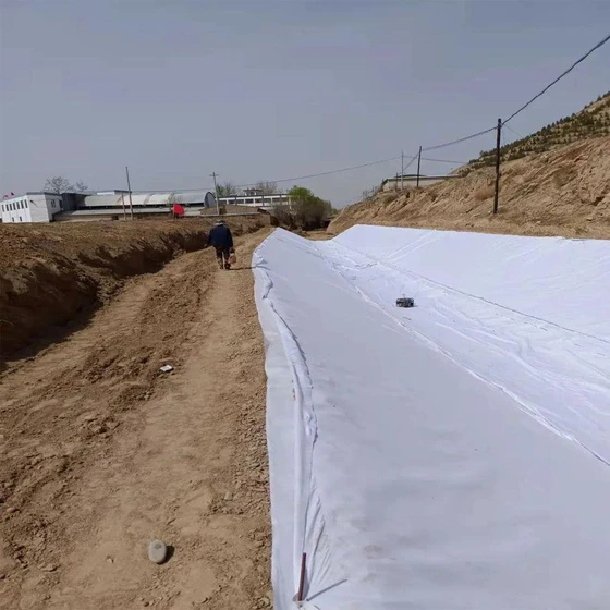 geomembrane-canal-rivers-2.webp