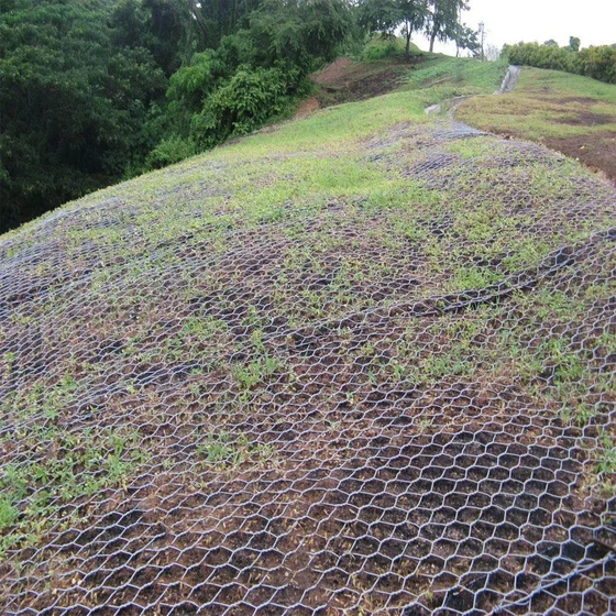 geotextile-agriculture-production-2.webp