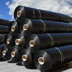 Black HDPE Geomembrane 