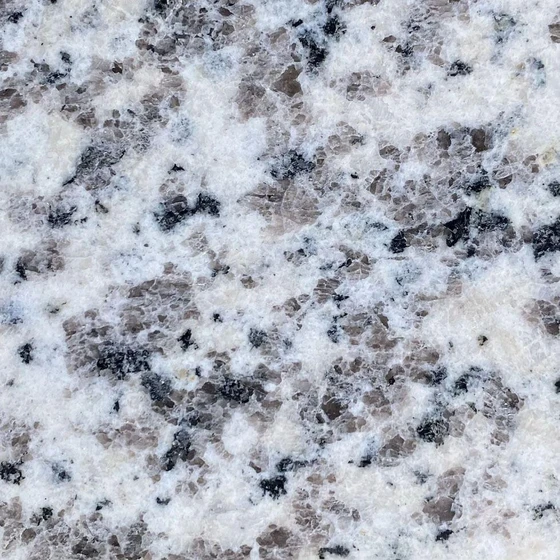 granite-tiger.webp