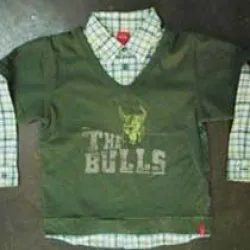 School Polo T Shirt, Fabric Cotton