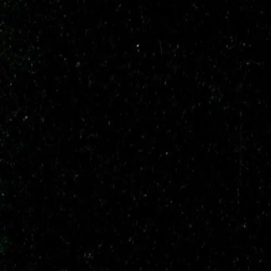 18875218-0-6rpOkpGZ.webp