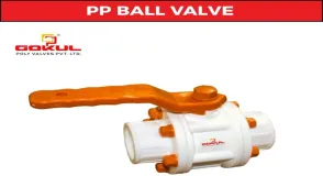 Stainless Steel SS Flange End Ball Valve, Model NameNumber BCPC
