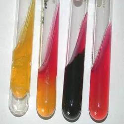 Bactosip-AMC-Advanced Microbial Bio Culture for ETP Wastewater, Grade Standard BioTech Grade