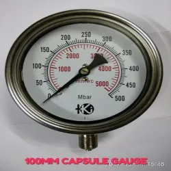 Akvalo Economical Gauges AEG, Connection Type NPT
