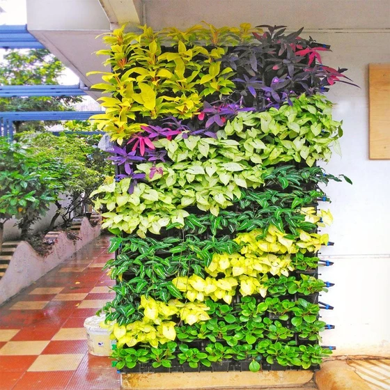 vertical-services-gardening-1.webp