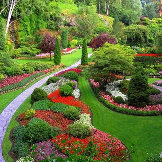 landscape-contracting-service-2.webp
