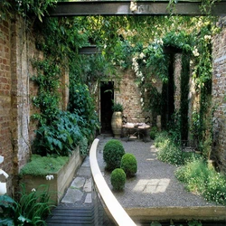 Courtyard Vertical Gardening