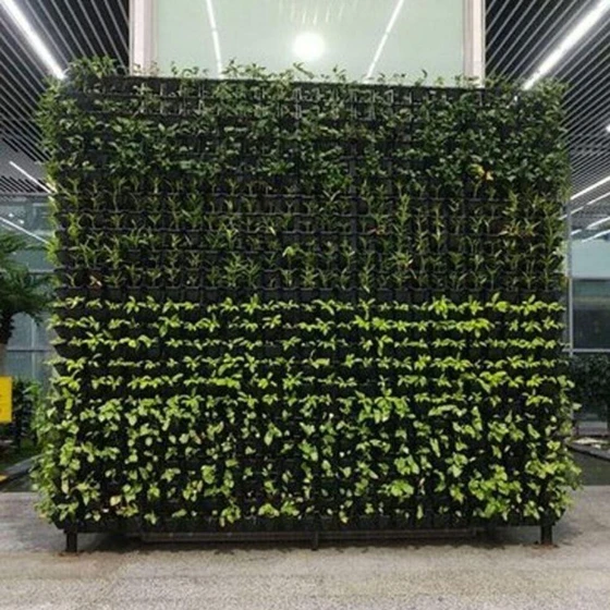 garden-vertical-service-1.webp