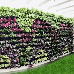 Vertical Services Garden 