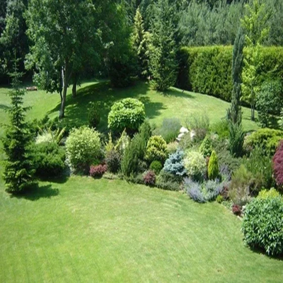 landscaping-service-plants-1.webp
