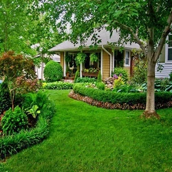 Grass Landscaping Services