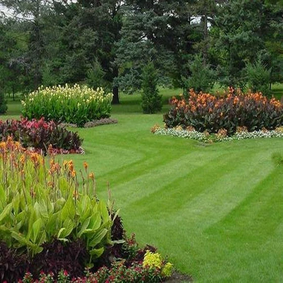 services-grass-landscaping-1.webp