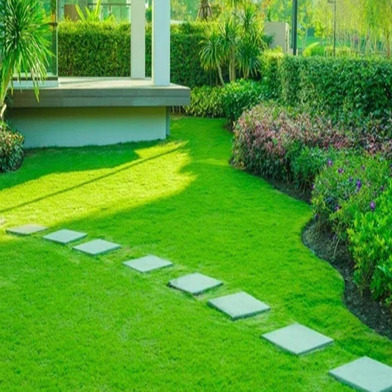 landscaping-services-grass-1.webp