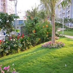 Development Garden Services