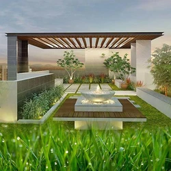 Services Roof Gardening