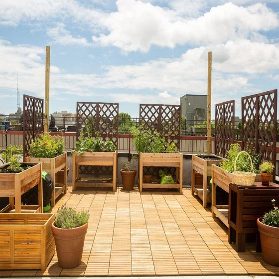 gardening-roof-services-2.webp