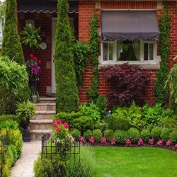 Maintenance Garden Service 