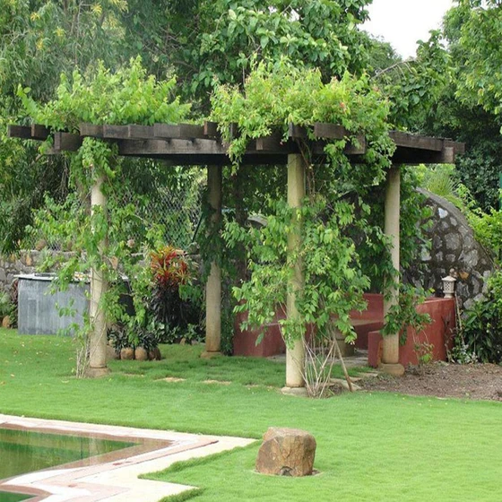 services-maintenance-garden-2.webp