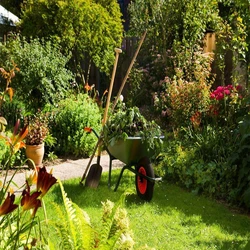 Services Maintenance Garden 