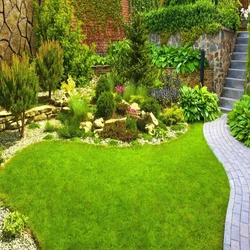 Garden Services Maintenance