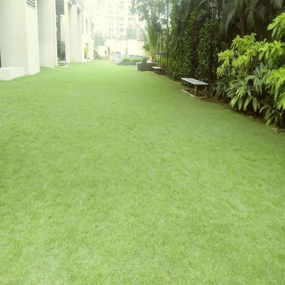 garden-maintenance-services-2.webp
