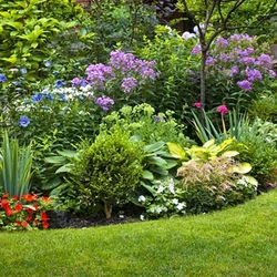 Maintenance Garden Services 