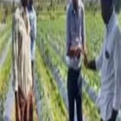 Soil Stabilization Designing Services, Material Procurement From service provider end