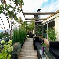 Design Services Garden Rooftop