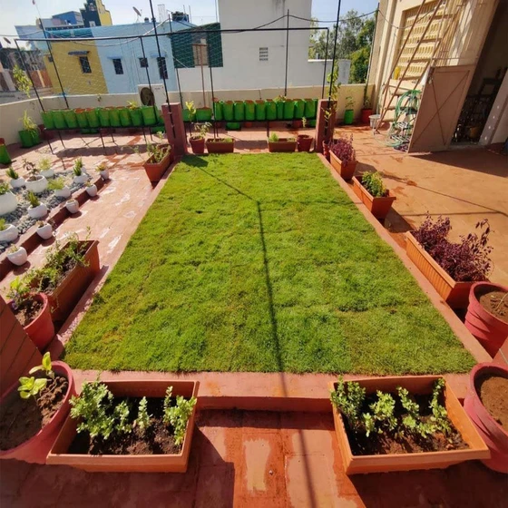 terrace-services-gardening-2.webp