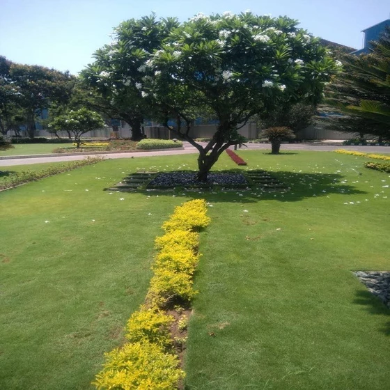 development-garden-services-2.webp
