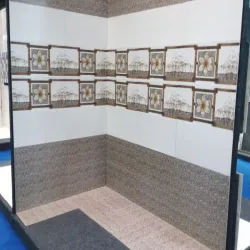 Designer Collection Wall Tiles, Brand Kajariya