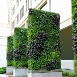 Landscaping Vertical Garden Service