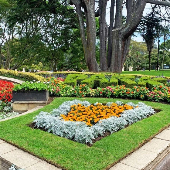 gardening-commercial-service-2.webp