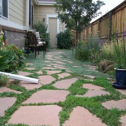 Gardening Commercial Service 