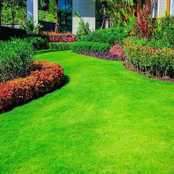 landscaping-grass-lawn-services-1.webp