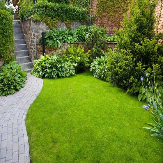 landscaping-grass-lawn-services-2.webp