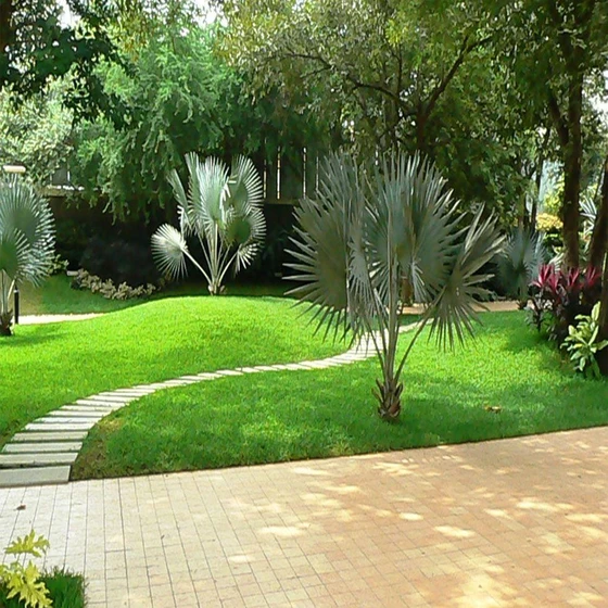 landscaping-design-services-1.webp