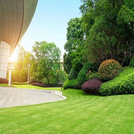 landscaping-commercial-services-2.webp
