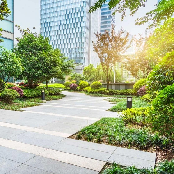 commercial-services-landscaping-1.webp