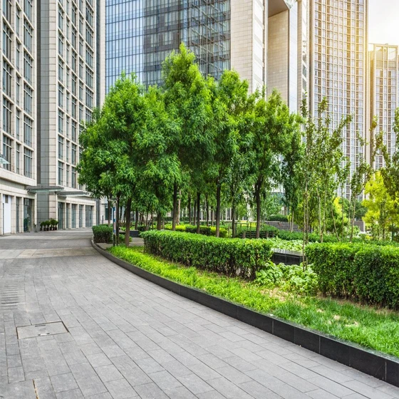 commercial-services-landscaping-2.webp