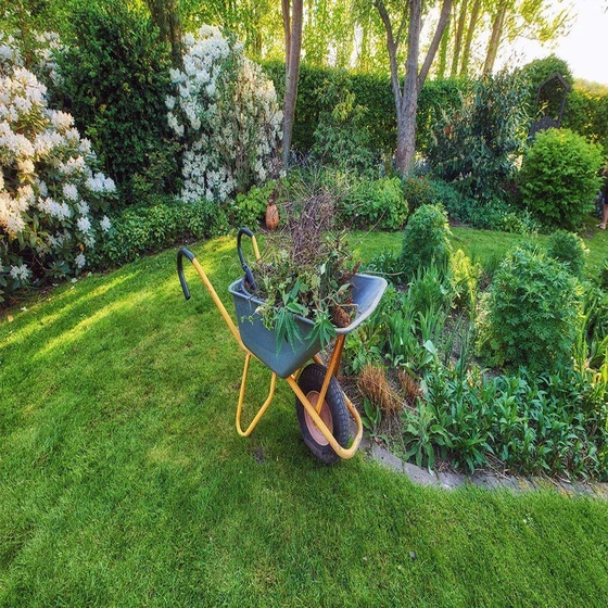 services-landscaping-garden-2.webp