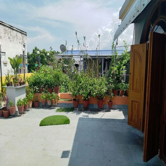 garden-roof-top-services-2.webp