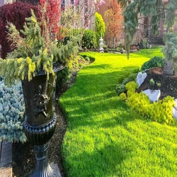 Landscaping Services Commercial 