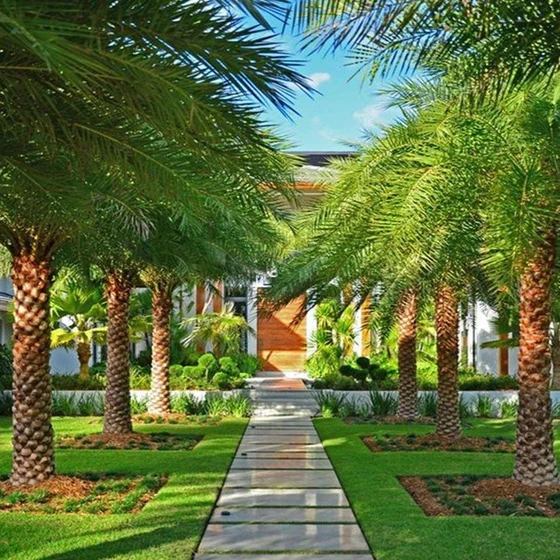 landscaping-corporate-contractors-2.webp