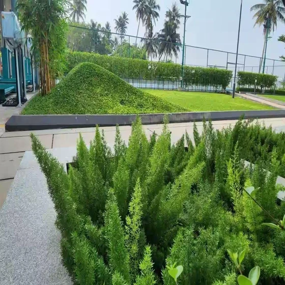 contractors-landscaping-corporate-2.webp