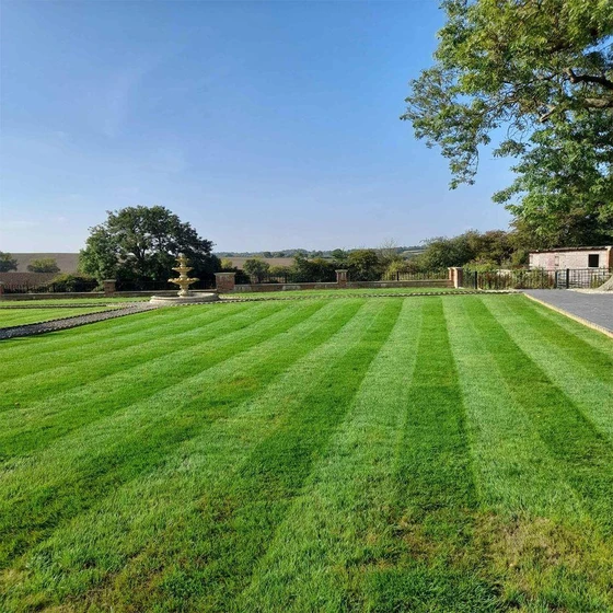 cutting-grass-service-1.webp